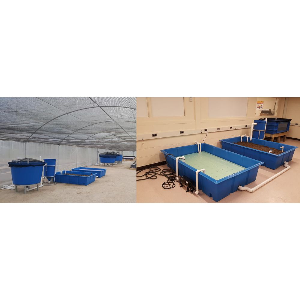 300 Gallon Aquaponic Grow Bed