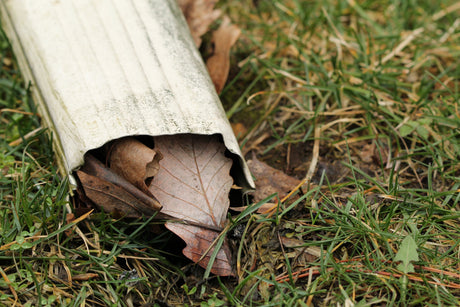 Clogged Gutter Before Downspout Filtration