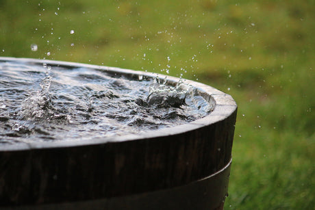 City Water vs Well Water vs a Rainwater Collection System: Which Is Best for Your Home?