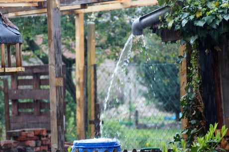 Gravity-Fed Water Systems: Do You Really Need a Pump?