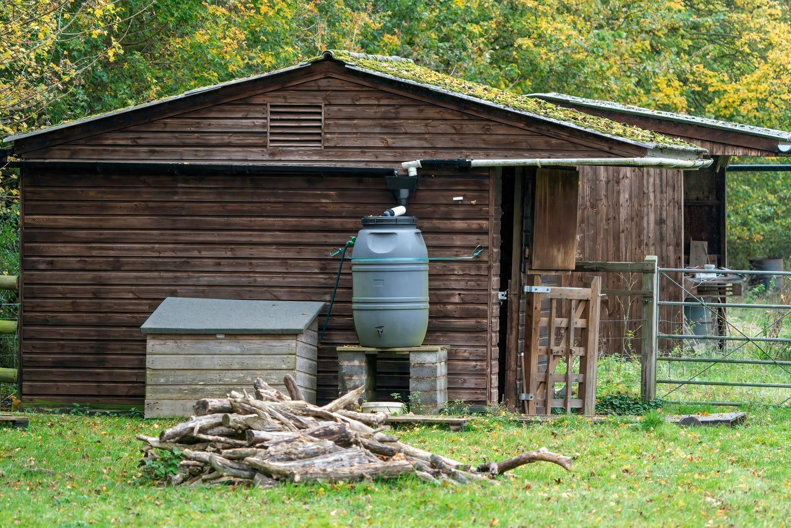 Off-Grid Water System: Why Rainwater Collection Should Be Your First Build