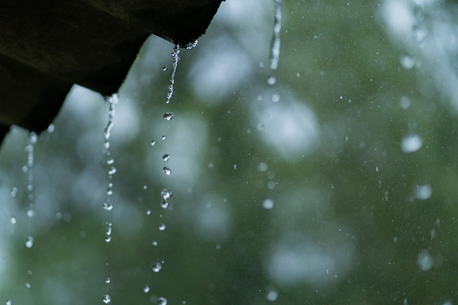 Is Rainwater Harvesting Legal? Understanding U.S. Laws and Myths About Collecting Rainwater