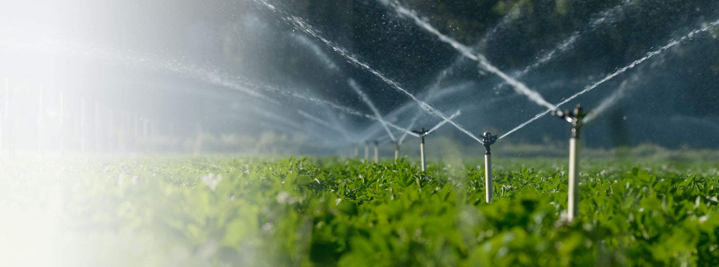 Irrigation system watering a field with trees in the background North American Rain Systems