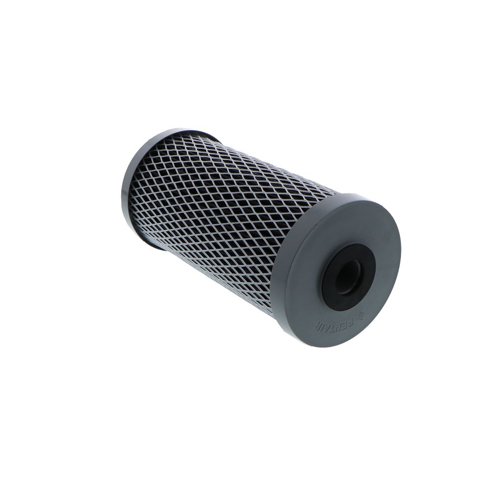 Pentek-155398-43-MicFilter-Secondary-2.png
