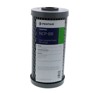 Pentek-155398-43-MicFilter-Primary.jpg