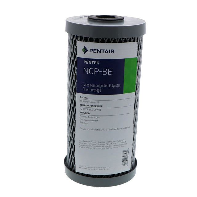 Pentek-155398-43-MicFilter-Primary.jpg